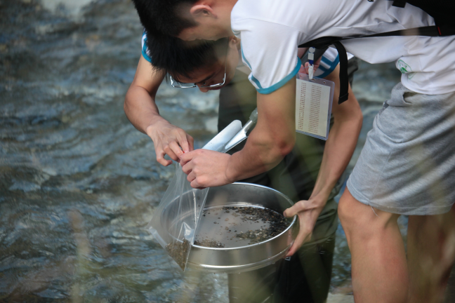 野马河底栖采样